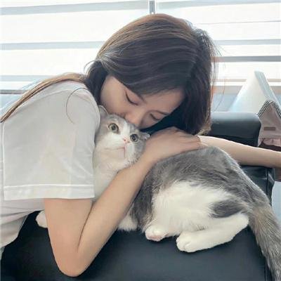 狄仁杰之通天谜案